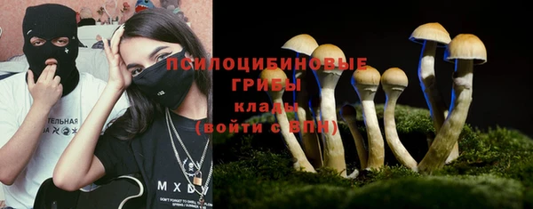 прущие грибы Баксан