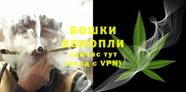 прущие грибы Баксан