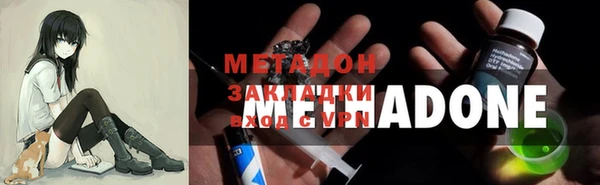 прущие грибы Баксан