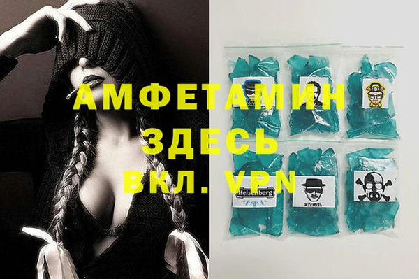прущие грибы Баксан