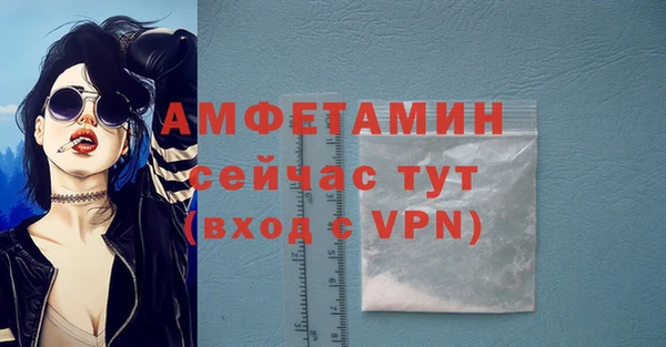 прущие грибы Баксан